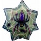Transparent Spider w/ Web Frenzy 079235